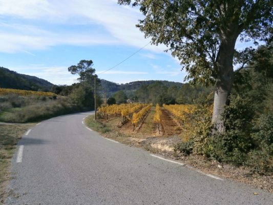 route de Carces vers le Thoronet