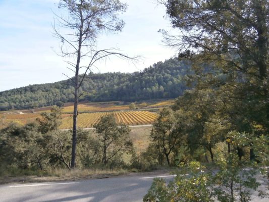 route du Thoronet vers Carces